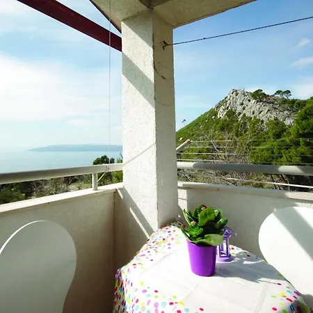 Stipe - Sea View From The Terrace